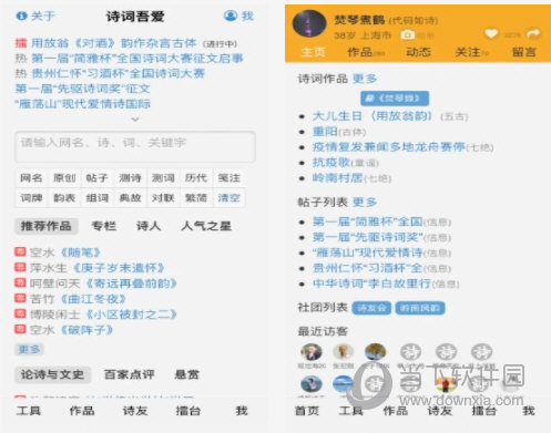 新澳门精准四肖期期中特公开,经典案例解释定义_Plus45.619