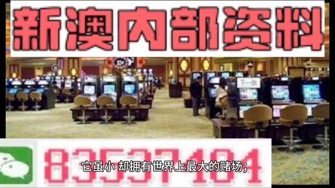 2024新澳正版免费资料的特点,快速设计响应解析_Deluxe52.705