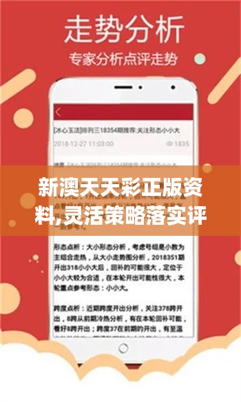 新澳天天开奖免费资料,综合计划定义评估_iShop71.333