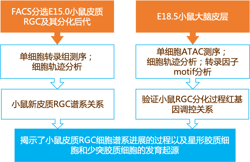 2024新奥正版资料最精准免费大全,精细解读解析_nShop96.610