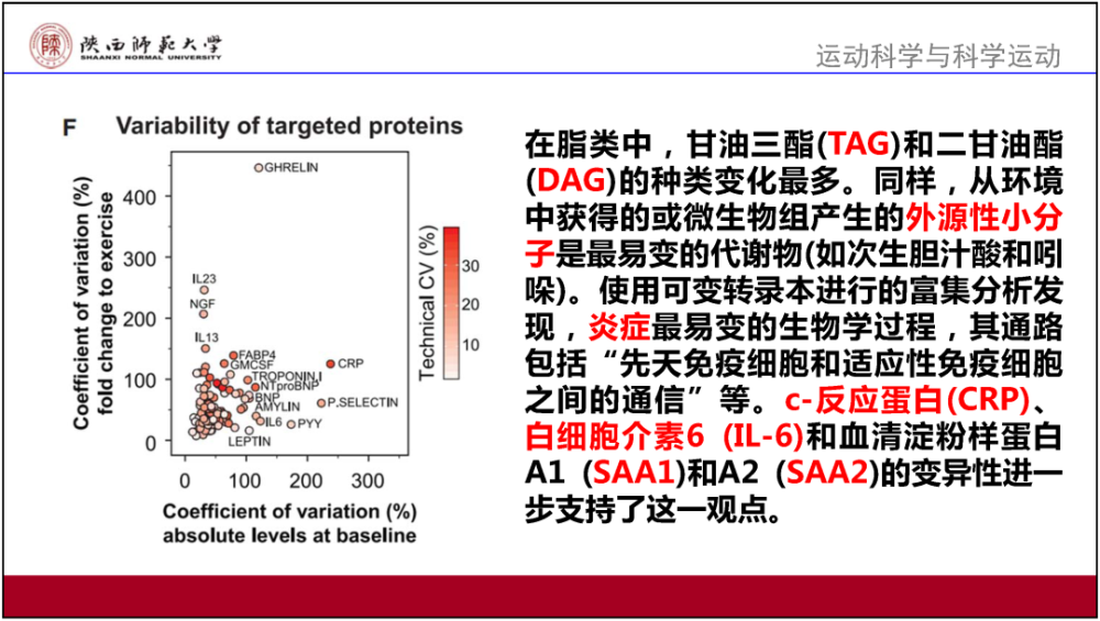 2024正版资料免费公开,理性解答解释落实_特供款80.536