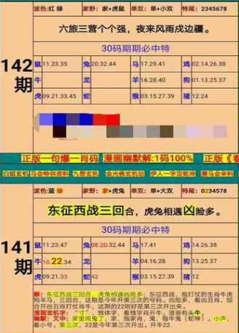 新澳门精准四肖期期准,实地数据评估方案_8K19.233